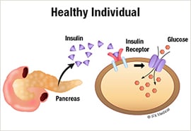 healthy individual